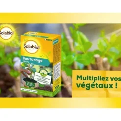 SOLABIOL SOBOUTU40 Osirylskärning - 40 ml