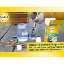 SOLABIOL SOBOUTU40 Osirylskärning - 40 ml