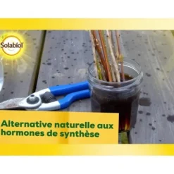 SOLABIOL SOBOUTU40 Osirylskärning - 40 ml