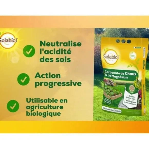 SOLABIOL SOCHAUX10 Calcium og magnesiumcarbonat 10 kg, effektiv