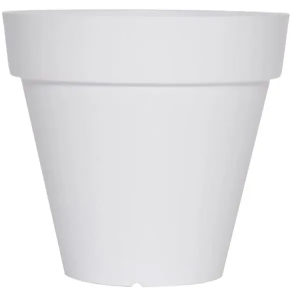 SOLEILLA ROND 50 VIT