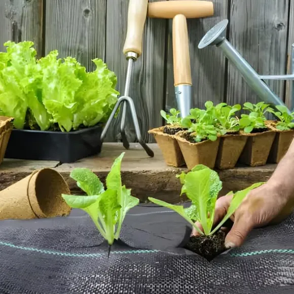 Sort agrotekstil til ukrudt, mulching, 3,2x100m, 70g pløkker