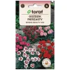 Spring Beauty Mix - velduftende og langblomstrende staude