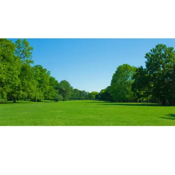 Spring regenerativ græsplæne gødning Emerald 4KG