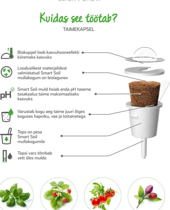 Sæt med 3 produkter. Click & Grow Smart Garden refill Busy Lizzie 3stk