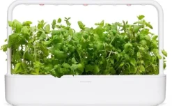 Sæt med 3 produkter. Click & Grow Smart Garden refill Æblemynte 3 stk