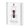 Steklar : myror - getingar. Hymenoptera : formicidae - vespidae