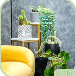 Stående blomsterstativ, metalhylde, blomsterstativ, planter, potter, 4 niveauer