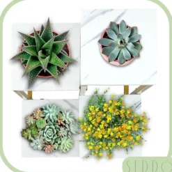 Stående blomsterstativ, metalhylde, blomsterstativ, planter, potter, 4 niveauer