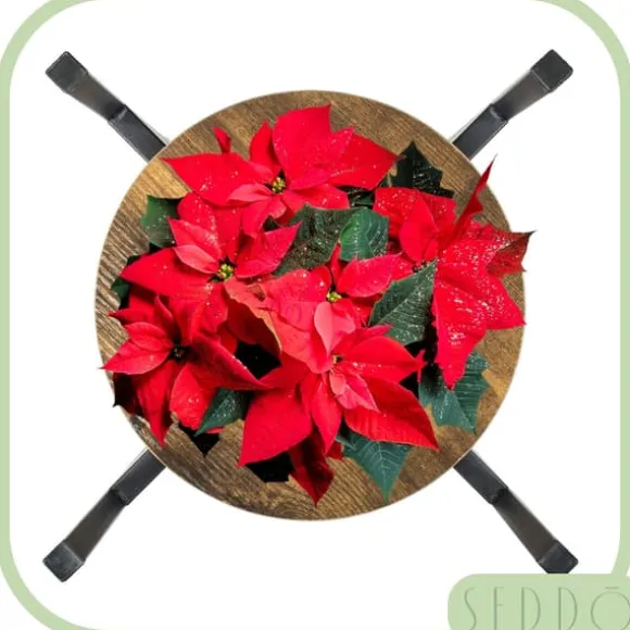 Stående metal blomsterstander, træ loft, høj, 62 cm, blomsterstander, planter