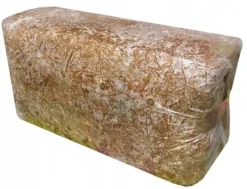 Østershattemyceliumballe 15 kg hjemmedyrkning hurtig høst + gratis