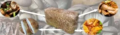 Østershattemyceliumballe 15 kg hjemmedyrkning hurtig høst + gratis