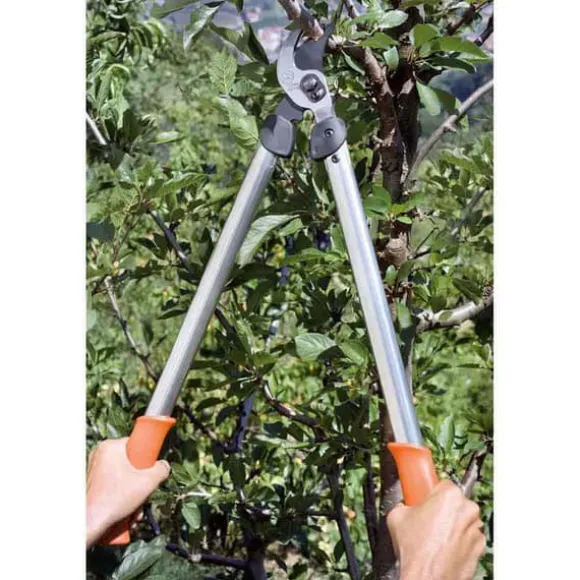 Stocker Lopper Löwe Bypass 65 Cm