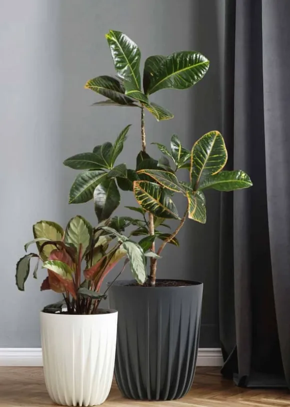 Strippet ECO Recycling Urtepotte Hvid