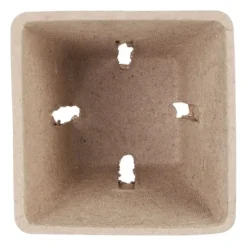 Sætte med frøpotter, 5.5x6x6 cm, Brun