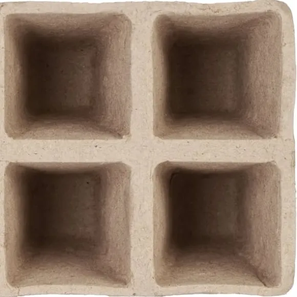 Sætte med plantepotter, 5x3,5x3,5 cm, Brun