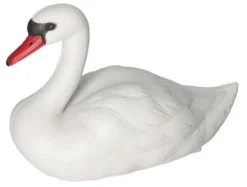 SVANE SVØMMER SOM EN HAVEFIGURE