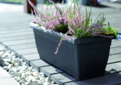 Terra DTT600 Balkonurtepotte | Terrakotta