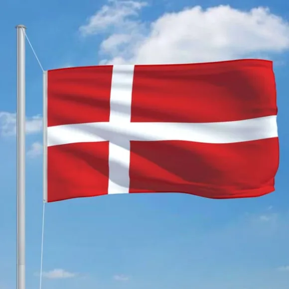 The Living Store det danske flag 90x150 cm - Flag & vimpler