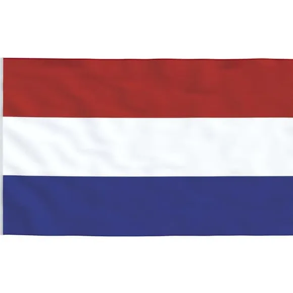 The Living Store Holland flag og flagstang 6,23 m aluminium - Flag & vimpler