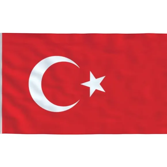 The Living Store Tyrkiet flag og flagstang 6,23 m aluminium - Flag & vimpler