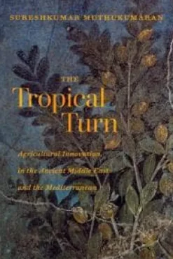 The Tropical Turn