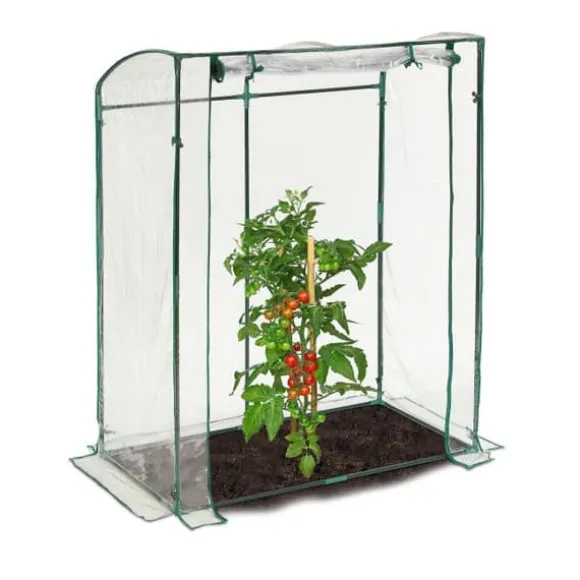 Tomatdrivhus fra Robustiek med PVC-film