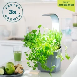 Tregren Kitchen Garden T3 Grå
