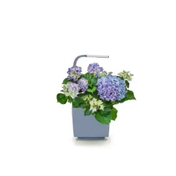 Tregren Kitchen Garden T3 Grå
