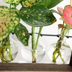 Træramme vægmonteret hydroponisk vase til grønne planter i stueindretning