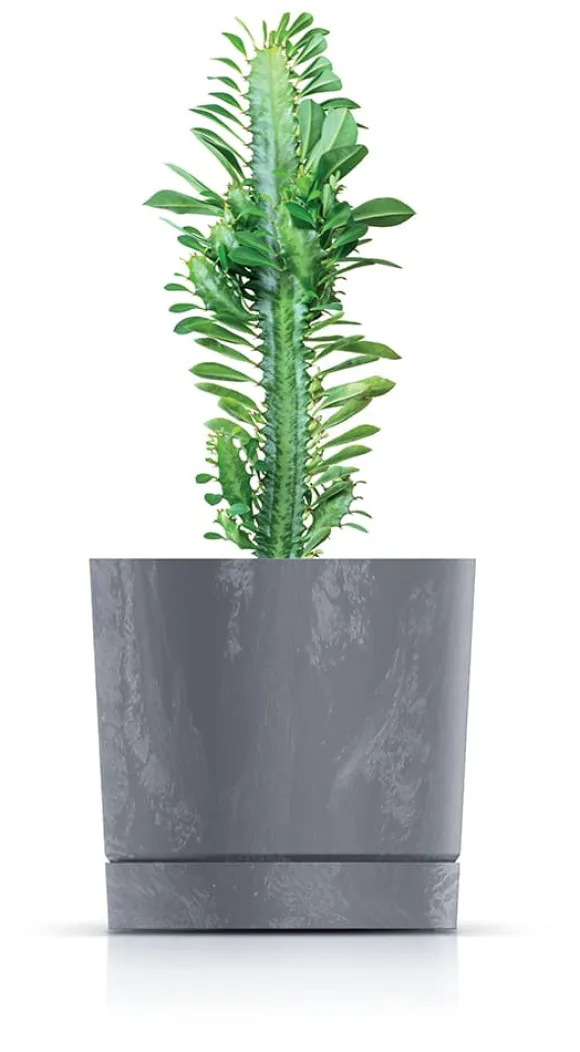 Tubo P Beton Effect 240E rund urtepotte med underkop | Antracit