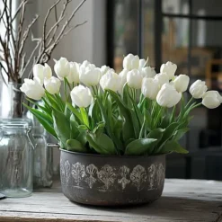 Tulipanløg - Sæt med 21 - Tulipa 'Northcap' - Blomsterløg - Gul