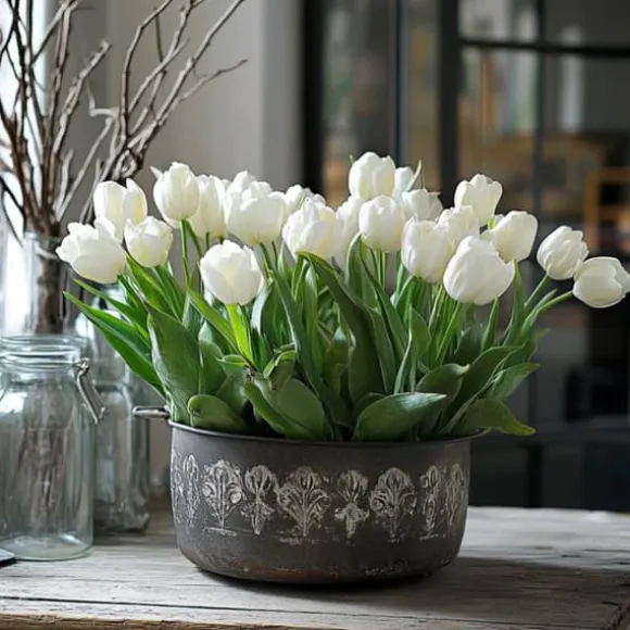 Tulipanløg - Sæt med 21 - Tulipa 'Northcap' - Blomsterløg - Gul