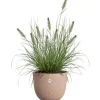 Urtepotte - ELHO - Sereh Rond 40 - Brun - Ø 39 x H 33 cm - 100% genbrugt
