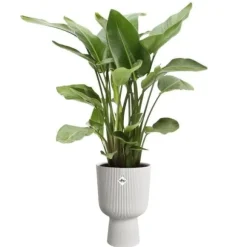 Urtepotte - Elho - Vibes Fold Coupe - Hvid - L 30 x B 29,5 x H 45 cm - Indendørs - 100% genbrugt