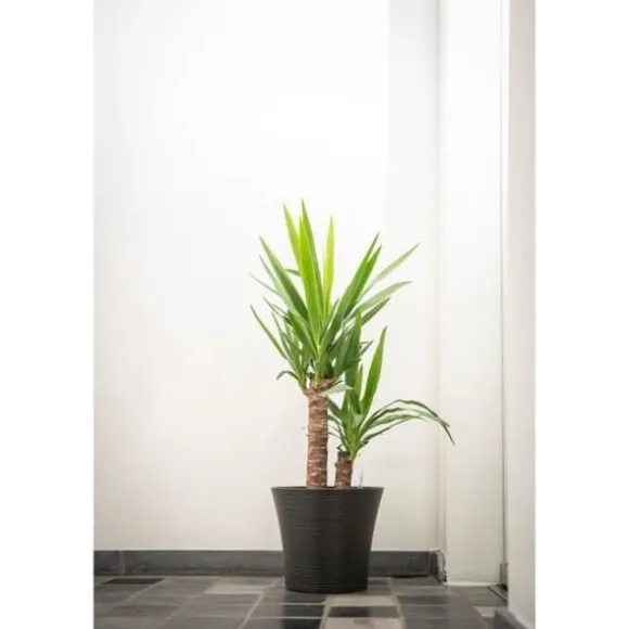 Urtepotte - GARDEN ID - Green Care Sense Sort-Antracit - 30 x 27 cm - 10 års garanti - 100% genanvendt - UV- og frostbestandig