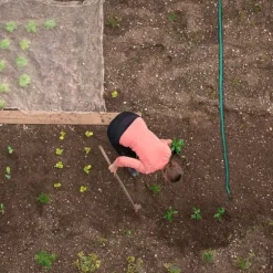 Vandingsslange, 300 cm, Grøn, Plast