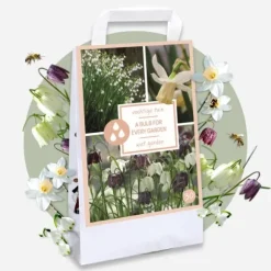 Våd Have Boks - 30 blomsterløg til fugtige og regnfulde steder