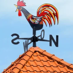 Vejrhane vindrose