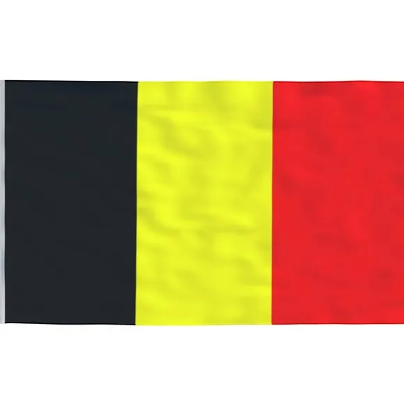 vidaXL Belgien flag og flagstang 5,55 m aluminium