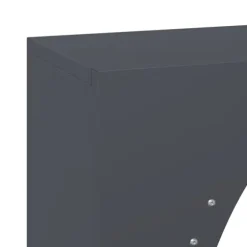 vidaXL brændestativ 50x23x100 cm koldvalset stål antracitgrå
