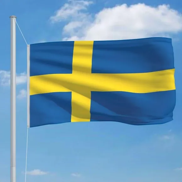 vidaXL det svenske flag 90x150 cm