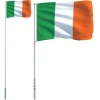 vidaXL Irland flag og flagstang 5,55 m aluminium