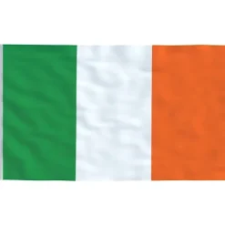 vidaXL Irland flag og flagstang 5,55 m aluminium