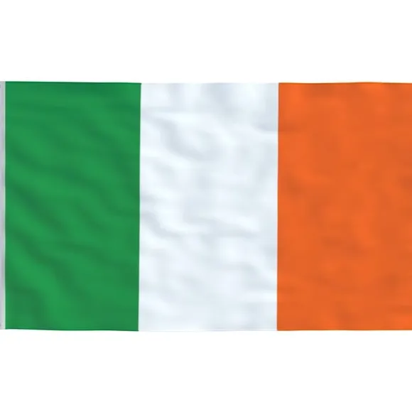 vidaXL Irland flag og flagstang 5,55 m aluminium