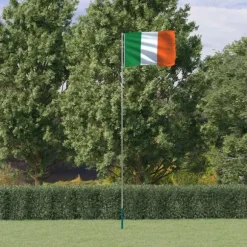 vidaXL Irland flag og flagstang 5,55 m aluminium