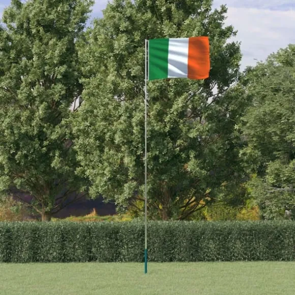 vidaXL Irland flag og flagstang 5,55 m aluminium