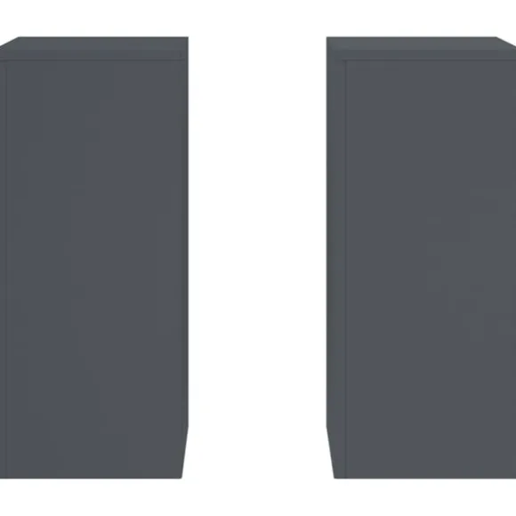 vidaXL Planteholdere 2 pcs Antracit 24 x 24 x 55 cm Stål