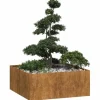 vidaXL plantekasse rustfarvet 100x100x40 cm forvitringsstål