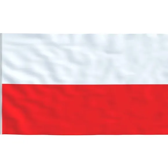 vidaXL Polen flag og flagstang 5,55 m aluminium